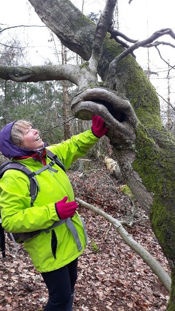 Naturwesenplatz-Externsteine-und-Heike Was ist Realität? - Naturwesen