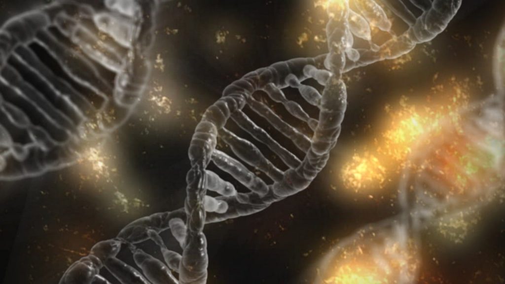 DNA DNA
