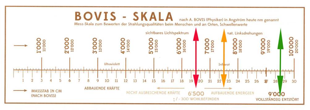 Bovis-Meter