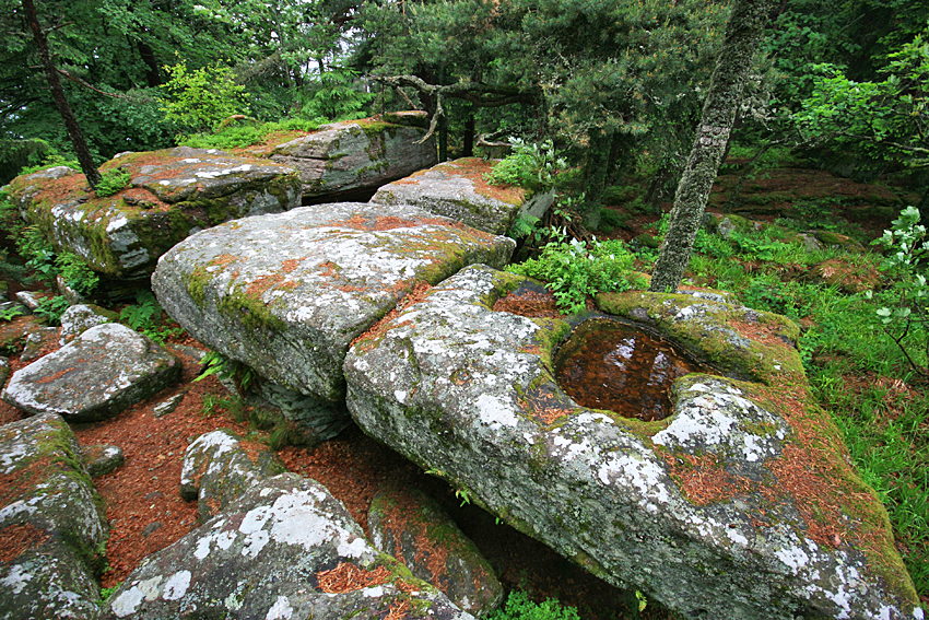 Taennchel - Nekropole