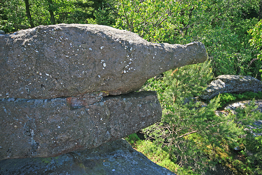 Taennchel - Reptilienfelsen