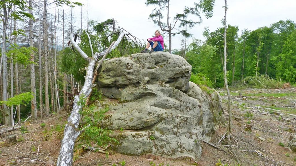 Person in a pink jacket sits atop a large layered rock in a forest clearing, with a fallen tree leaning against the rock nearby.