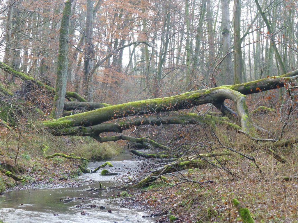 Am Krähenberg Am Krähenberg